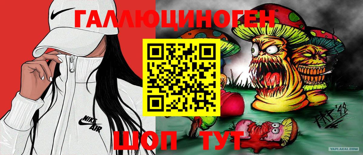 Псилоцибиновые грибы MAGIC MUSHROOMS Добрянка