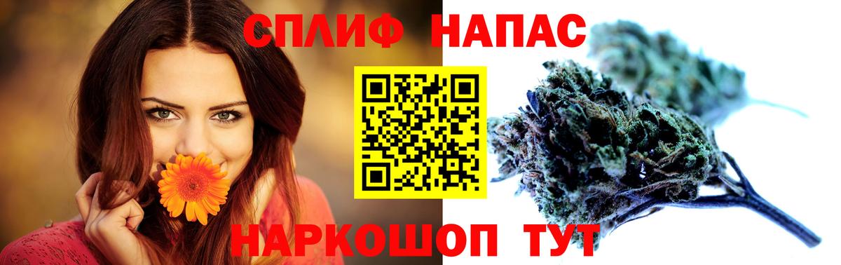 Марихуана сатива Добрянка